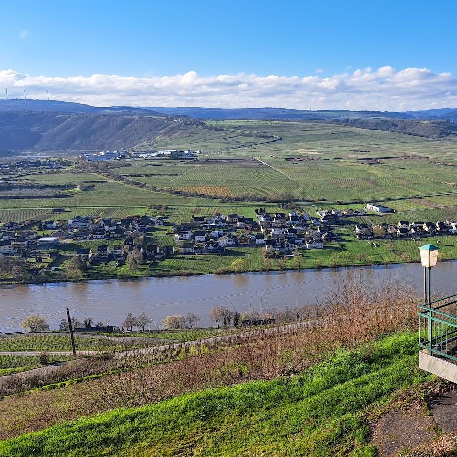 Restaurant "Hotel Moselpanorama mit Gaststätte" in Piesport