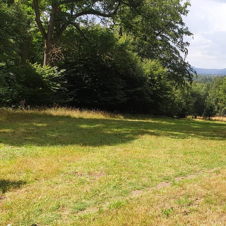 Restaurant "Grundmauern vom alten Plesshaus" in Breitungen-Werra