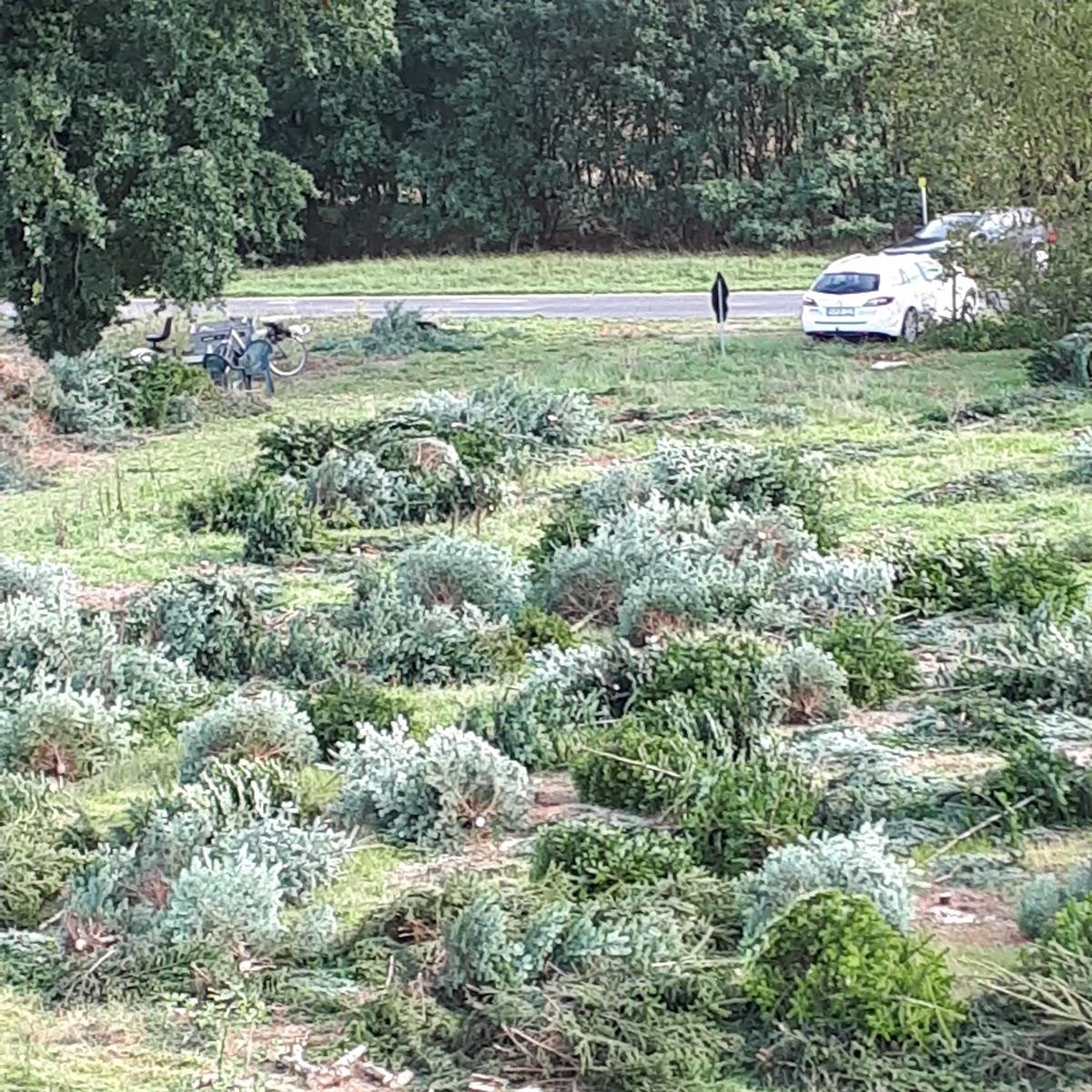 Restaurant "Lohner Stube" in Wietmarschen