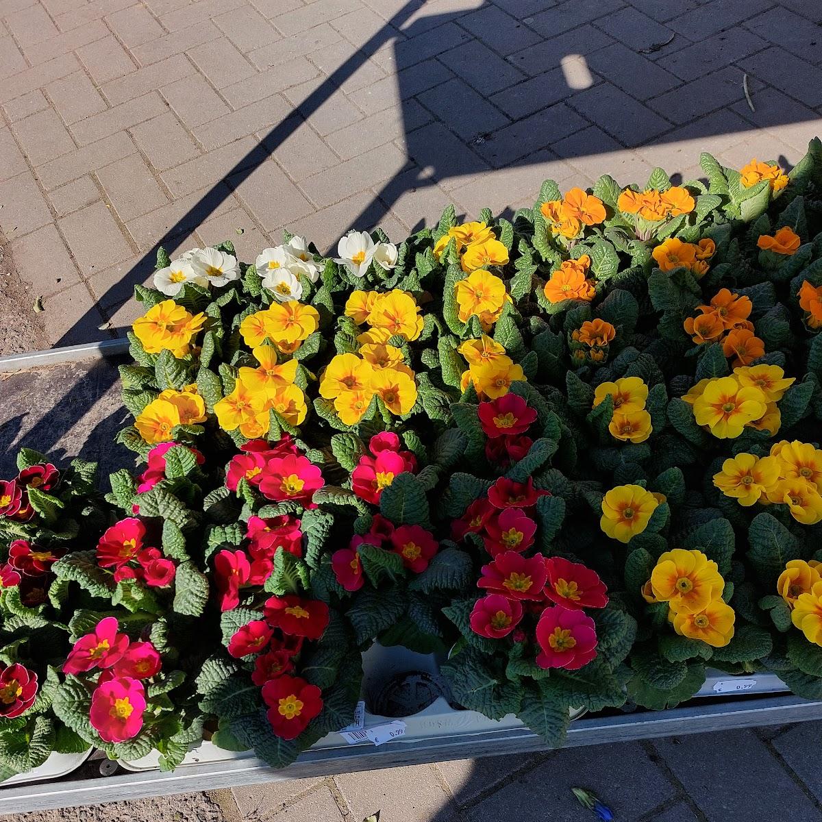 Restaurant "Gaststätte-Am Weinberg" in Greußen