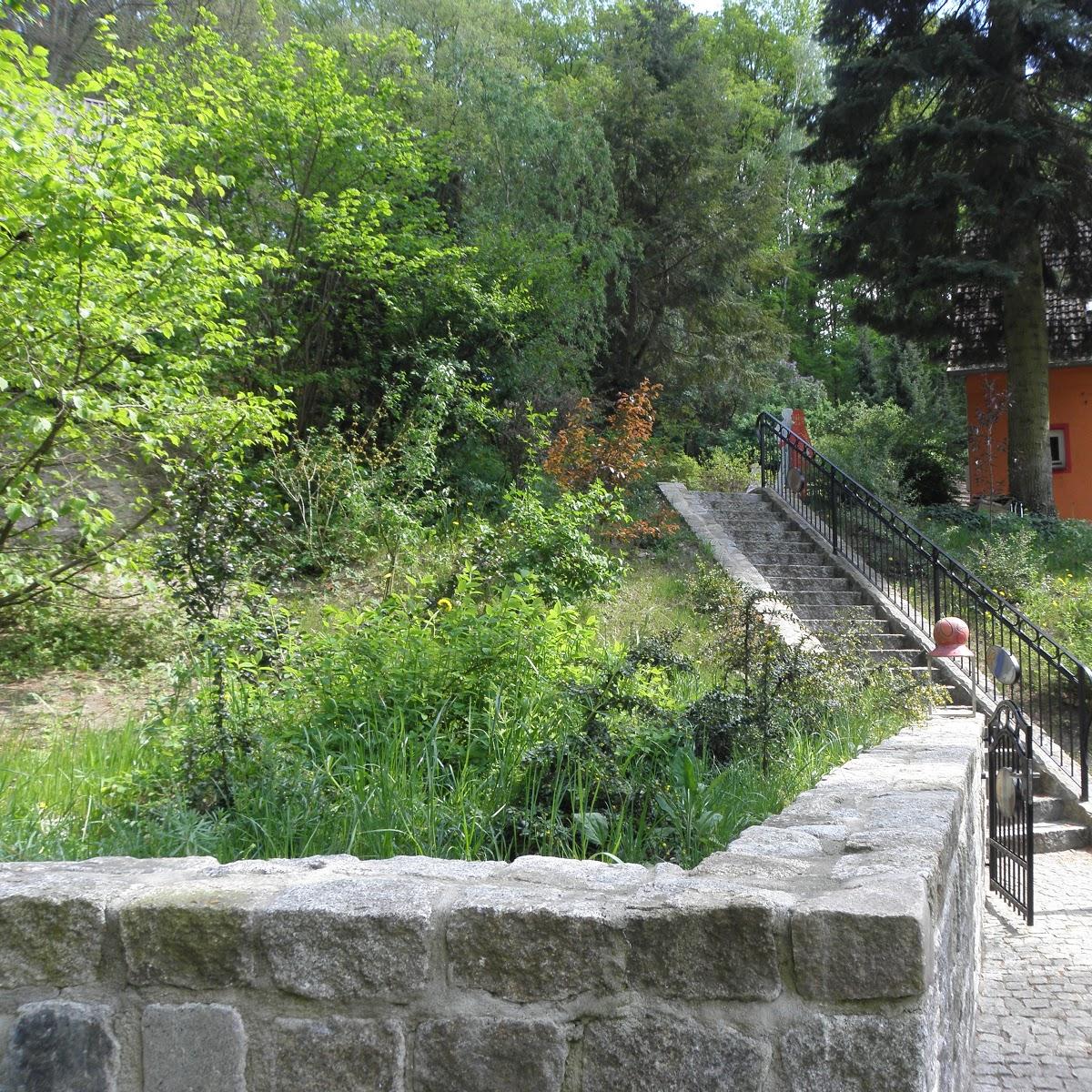 Restaurant "Art House am Werbellinsee - Ferienhäuser" in Joachimsthal