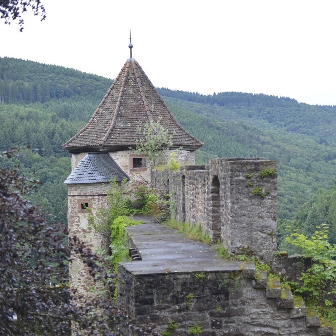 Restaurant "ARTEA" in Hirschhorn (Neckar)
