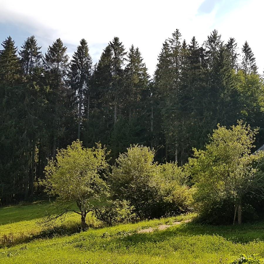 Restaurant "Hotel Goldener Rabe" in Furtwangen im Schwarzwald