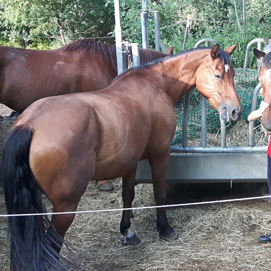 Restaurant "Ferienhof Heimerlmühle" in Neunburg vorm Wald