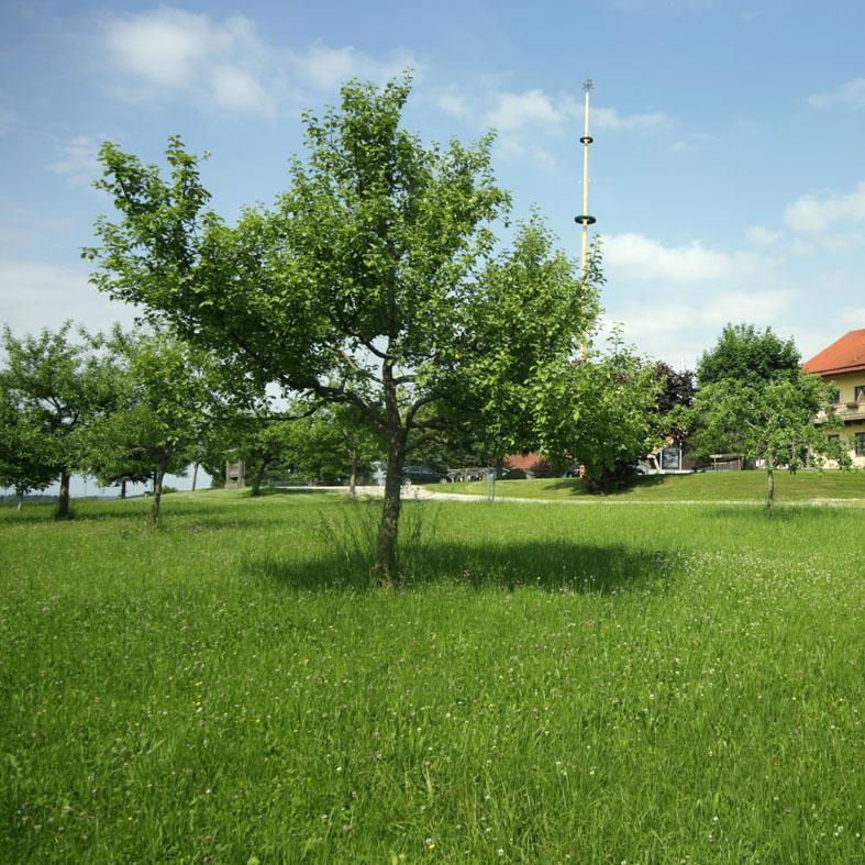 Restaurant "Schätzlhof - Christian Josef und Christian jun. Schätzl" in Ruderting