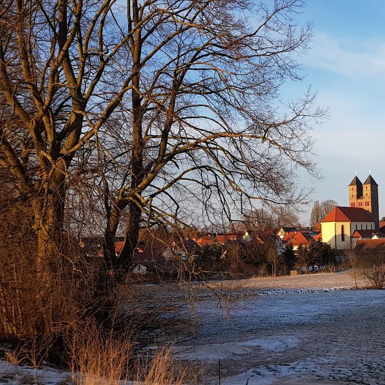 Restaurant "Gaststaette Zum Vizekoenig" in Heilbad Heiligenstadt