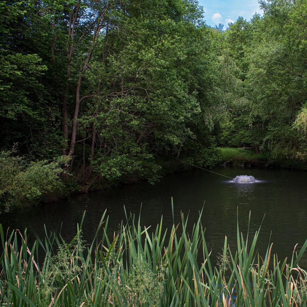 Restaurant "Forellenhof" in Lößnitz