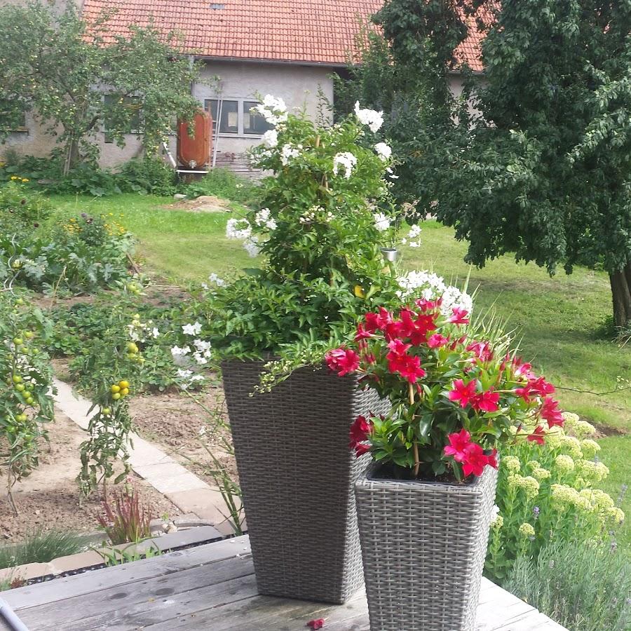 Restaurant "Gasthaus Zur Linde Inh. Georg Petz" in Waigolshausen