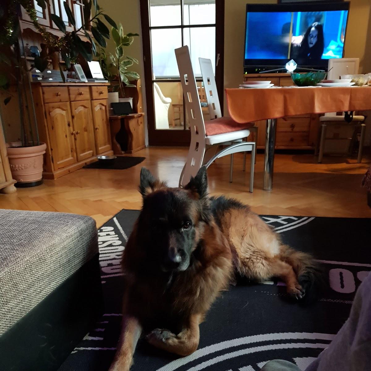 Restaurant "Gaststätte Krone" in  Wilhelmsdorf