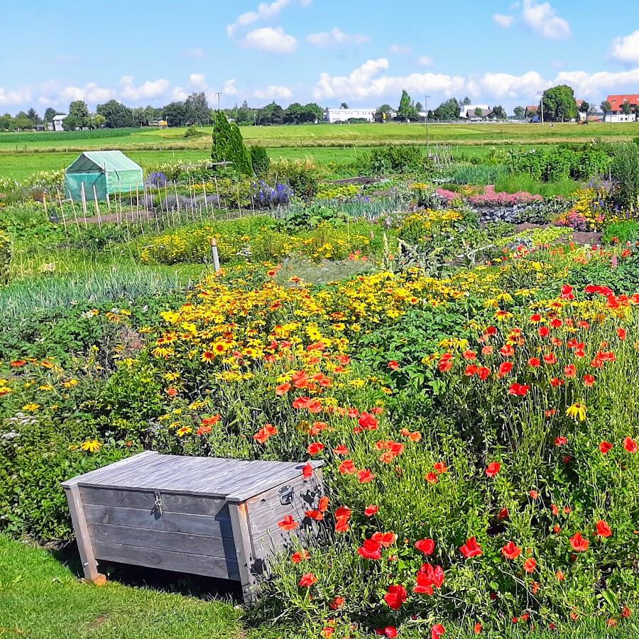Restaurant "Restaurant Landgasthof Adler" in  Illmensee