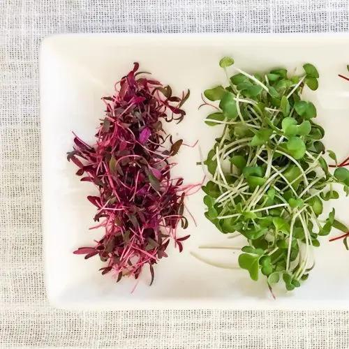 Restaurant "Katari Farms" in Berlin