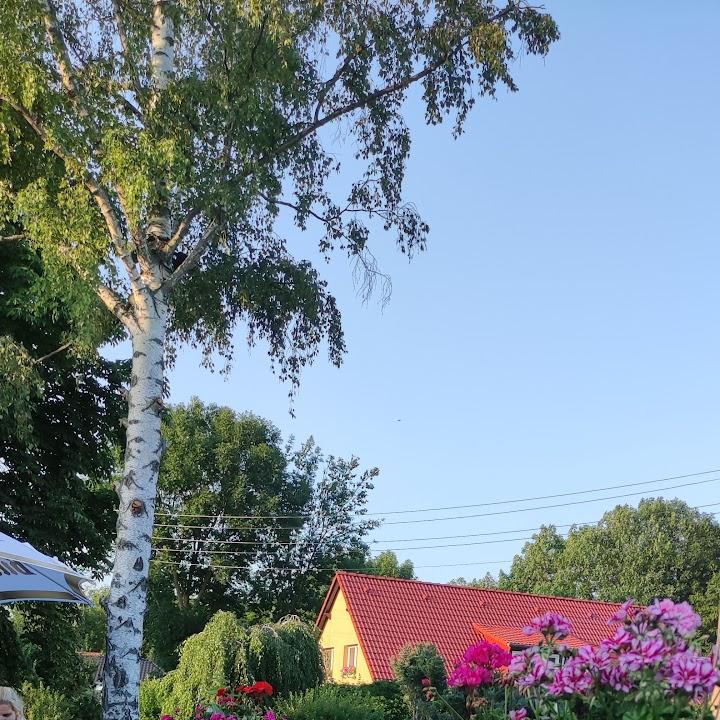 Restaurant "Griechisches Restaurant KRETA" in Leipzig