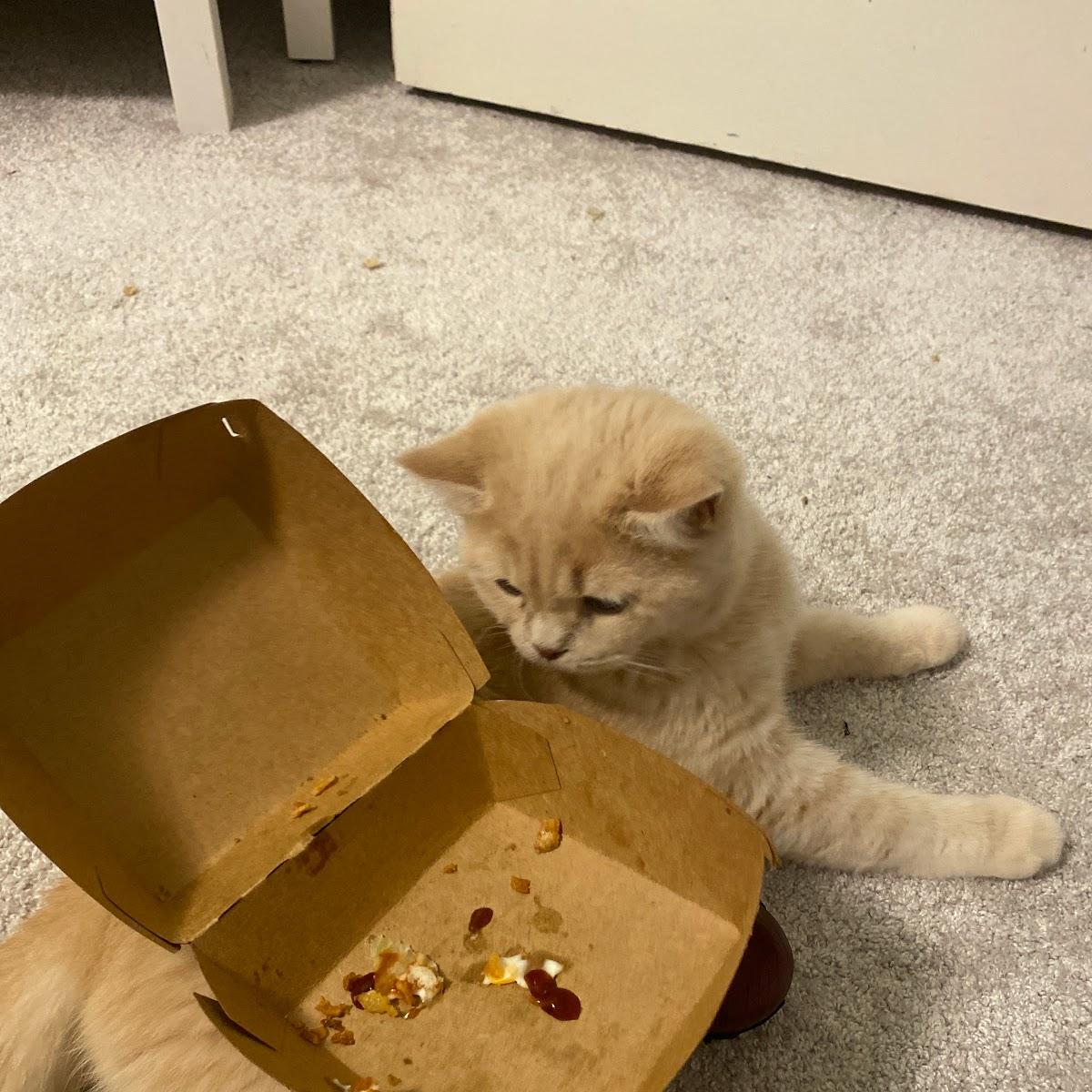 Restaurant "Pizza Max" in Oranienburg