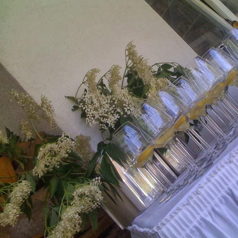 Restaurant "Marktplatzhotel Tafelspitz Hotel Restaurant" in  Weinheim