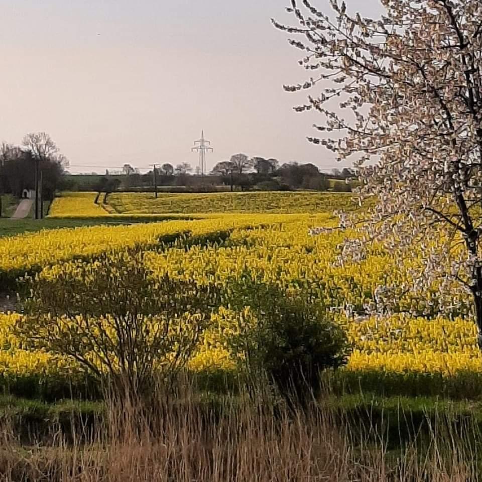 Restaurant "Hof Spang" in Husby