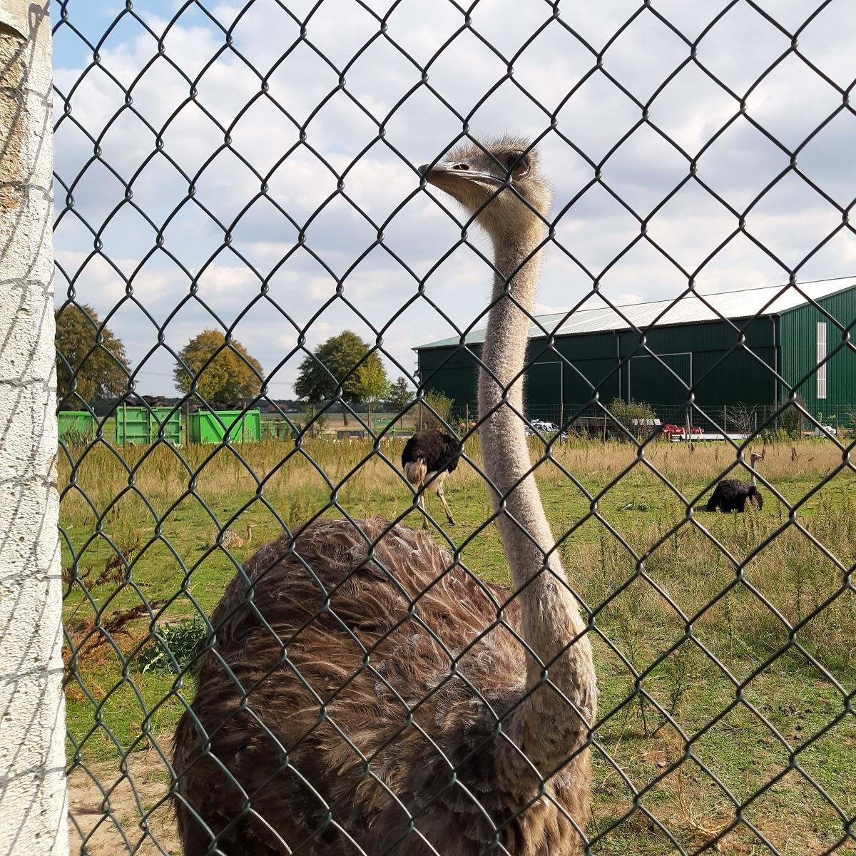 Restaurant "Hofcafè Straußenei" in Steyerberg