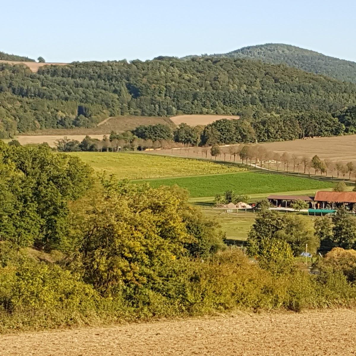 Restaurant "Ferienanlage Saaleblick" in Gräfendorf