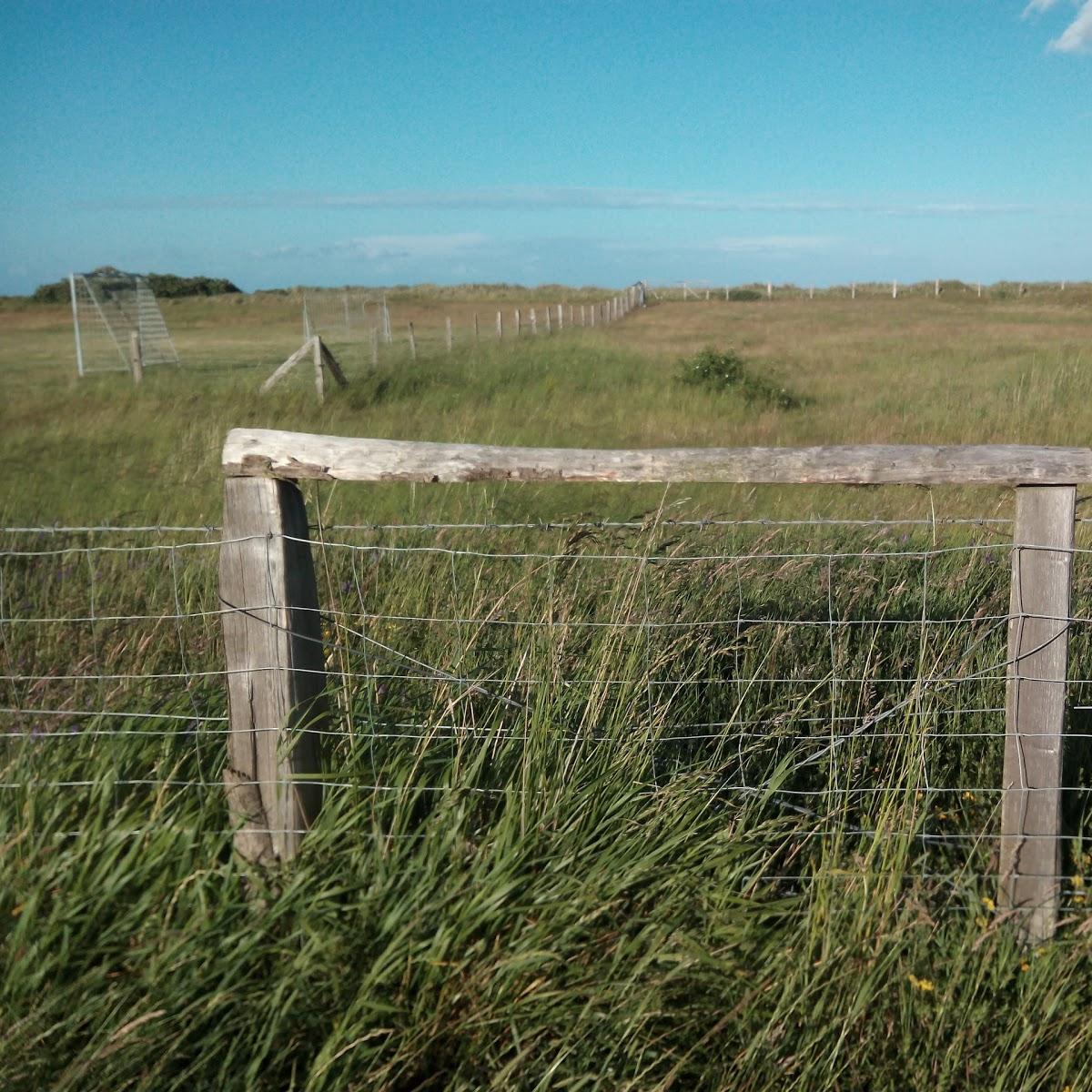 Restaurant "DEICHGRILL" in Dahme