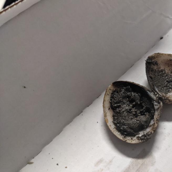 Restaurant "Pinsa Antica" in Adlkofen