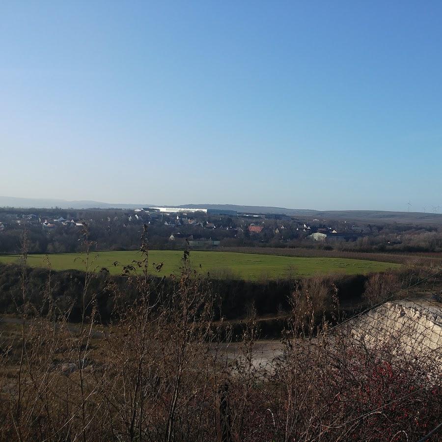 Restaurant "Pfalzblick" in Monsheim