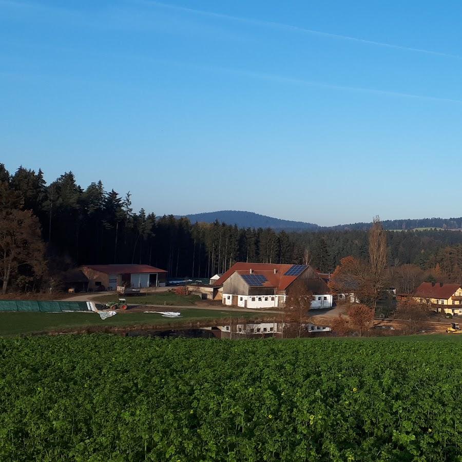 Restaurant "Rückhof - Urlaub auf dem Bauernhof" in Neukirchen-Balbini