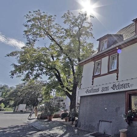 Restaurant "Gasthaus zum Ochsen" in Mannheim