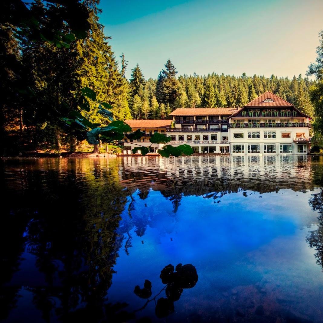 Restaurant "Hotel Langenwaldsee" in Freudenstadt