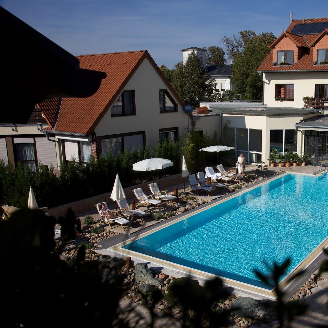 Restaurant "Ringhotel Zum Stein" in Oranienbaum-Wörlitz