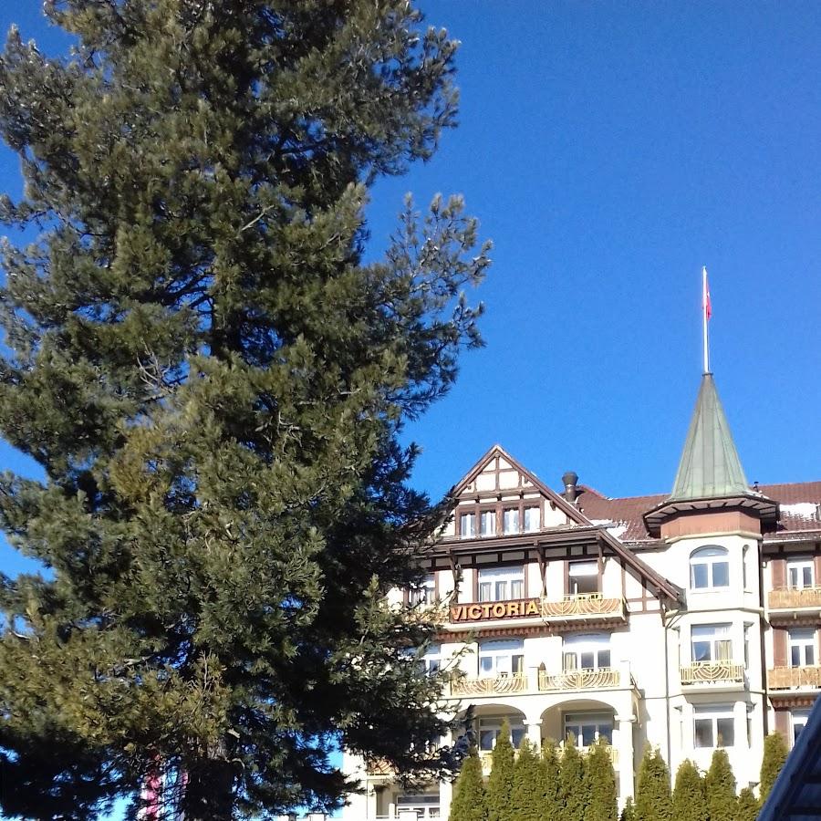 Restaurant "Trattoria da Toni Inh. . Ventimiglia" in Gevelsberg