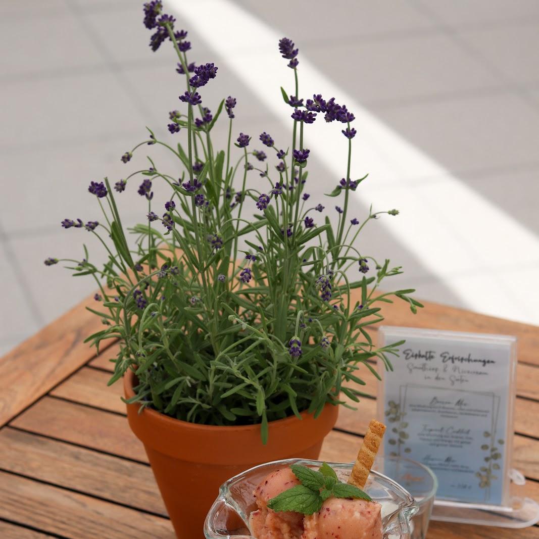 Restaurant " Flowers  Imbiss im SoliVital" in Sebnitz