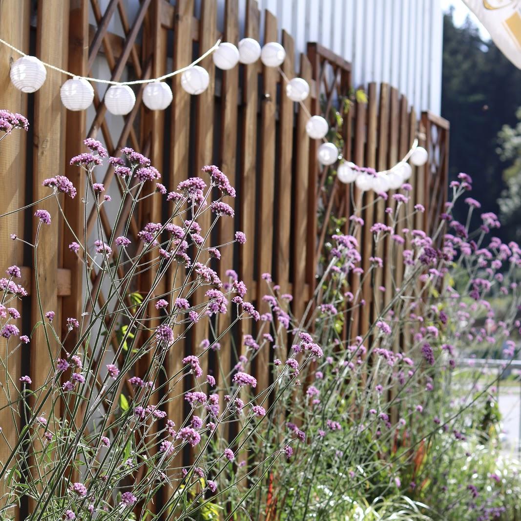 Restaurant "Restaurant  Flowers " in Sebnitz