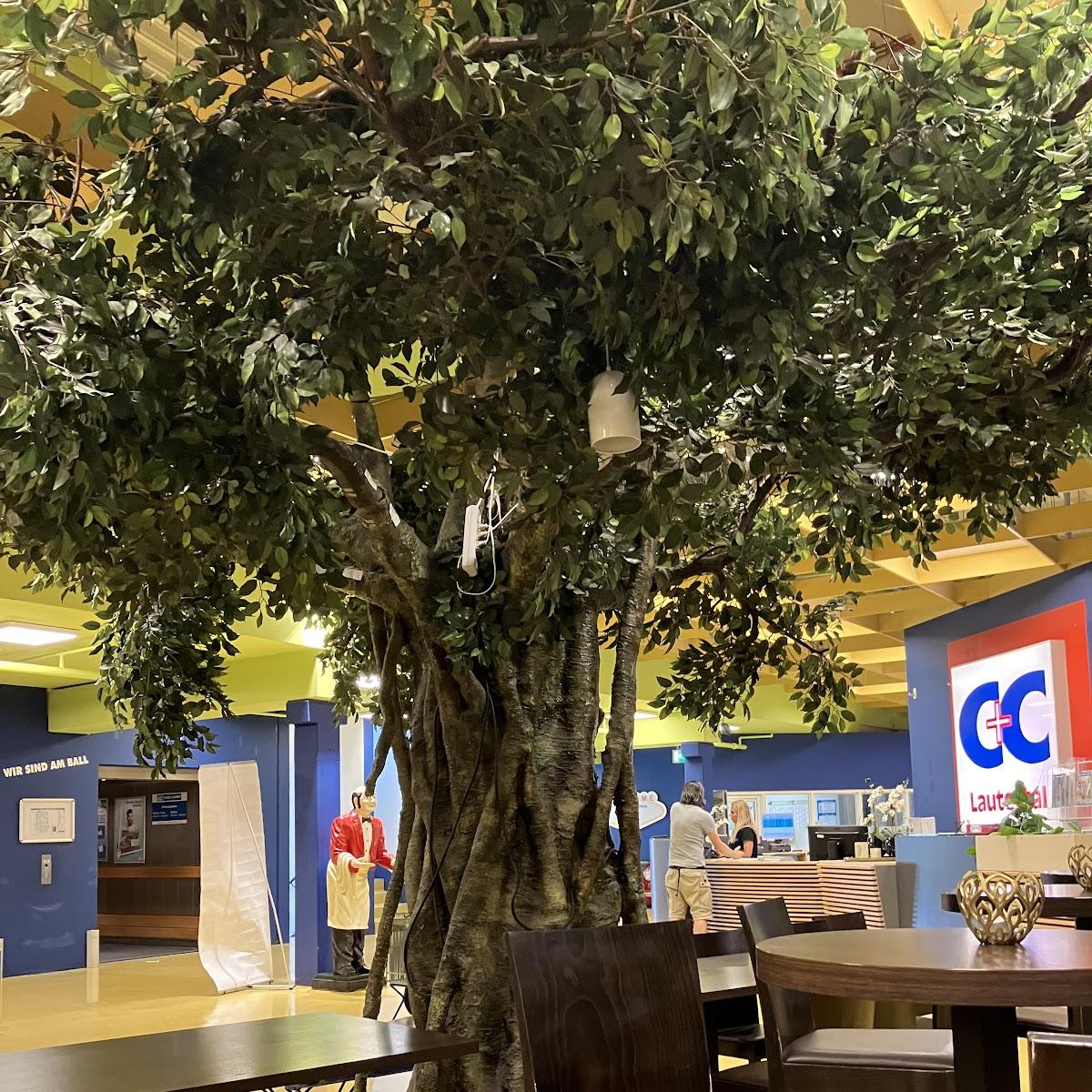 Restaurant "SIT IN" in Kaiserslautern