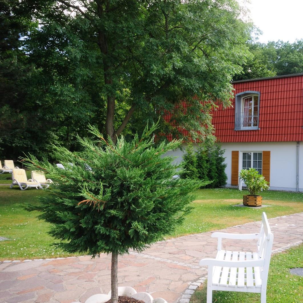 Restaurant "Parkhotel Klüschenberg" in Plau am See