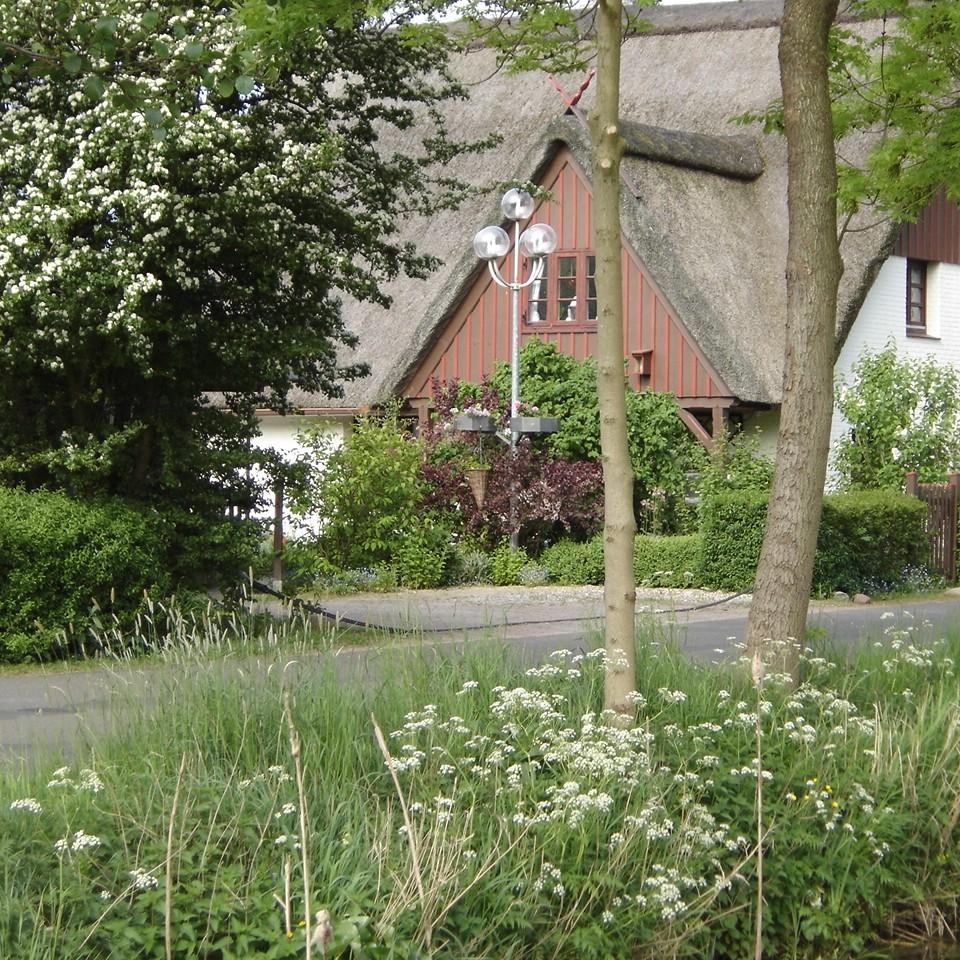 Restaurant "Ferienwohnungen Voss" in  Kollmar