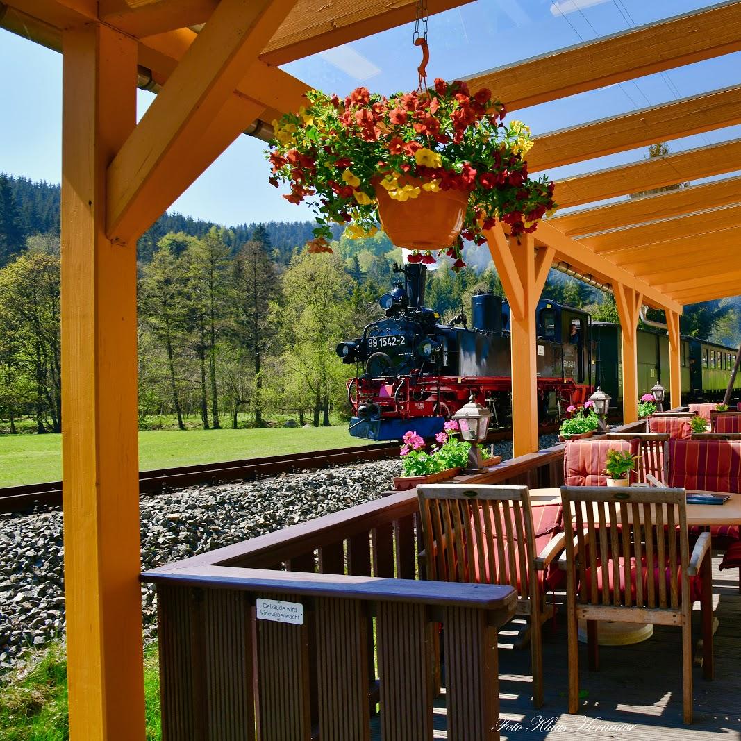 Restaurant "FORELLENHOF Gaststätte" in Jöhstadt