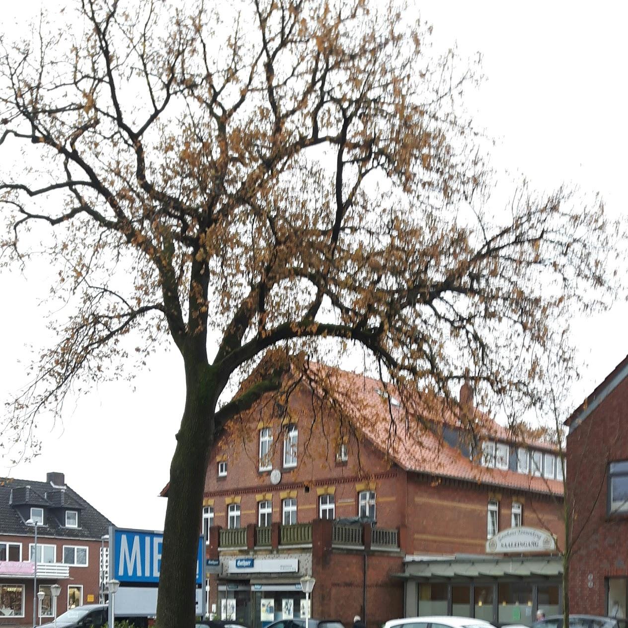 Restaurant "Tannenkrug" in Lachendorf
