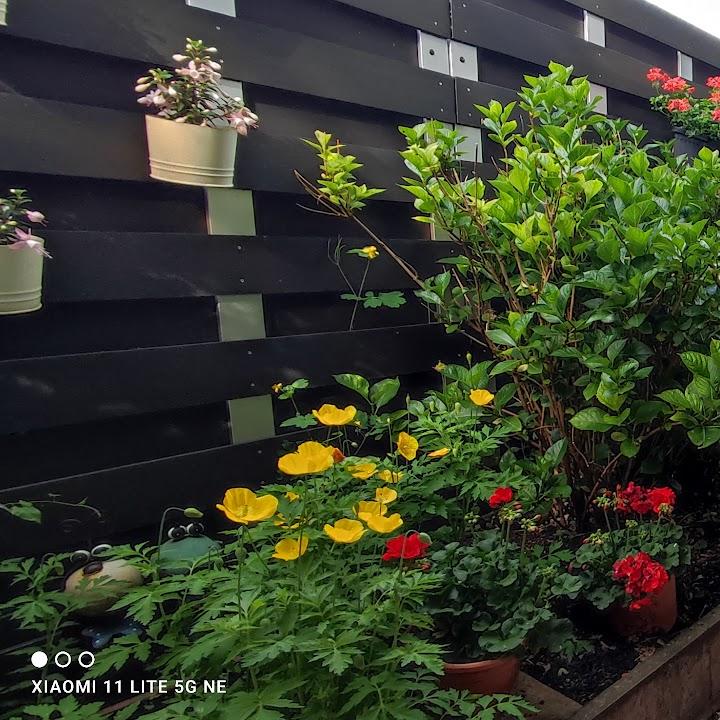 Restaurant "Restaurant Achilleon" in Essen