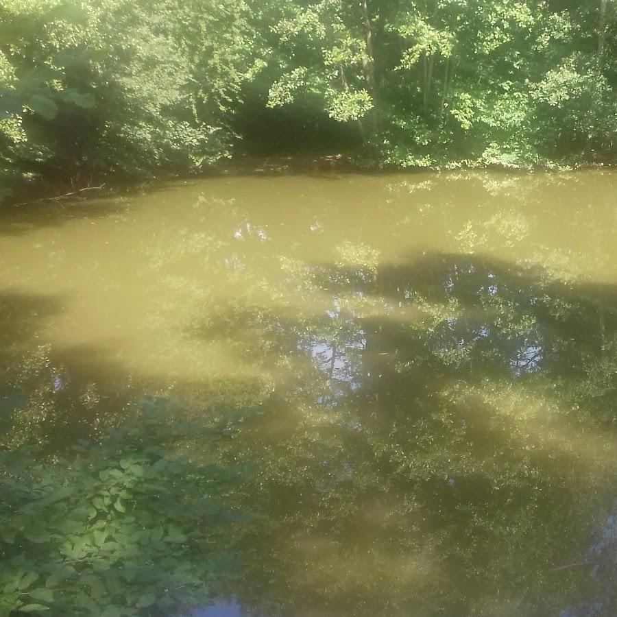 Restaurant "TSV  e.V. (Geschäftsstelle)" in Wäschenbeuren