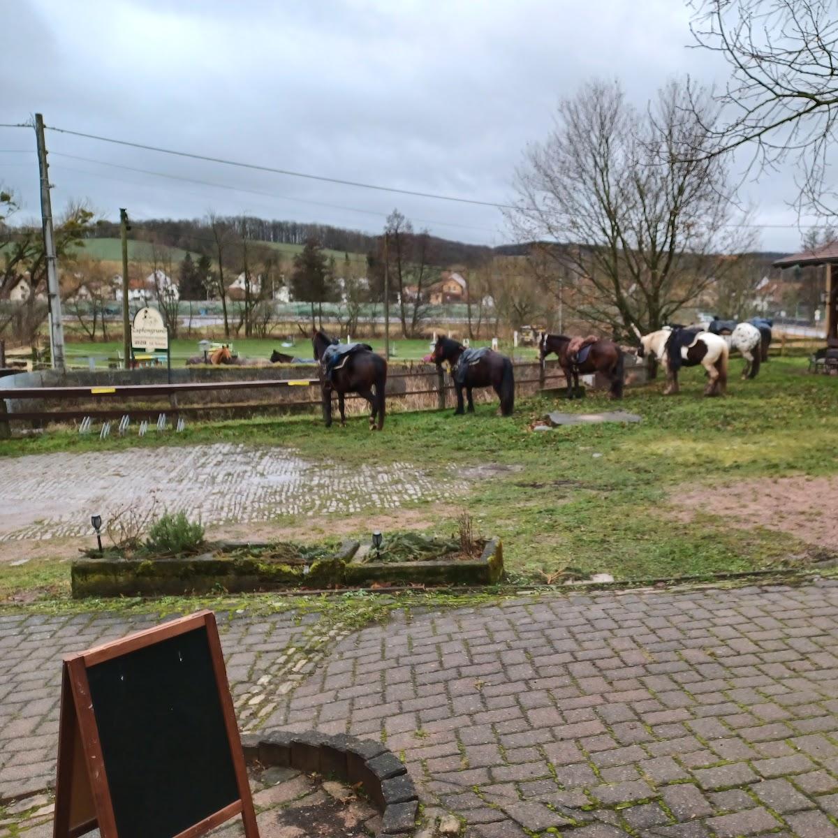 Restaurant "Gasthof Zapfengrund" in Wutha-Farnroda