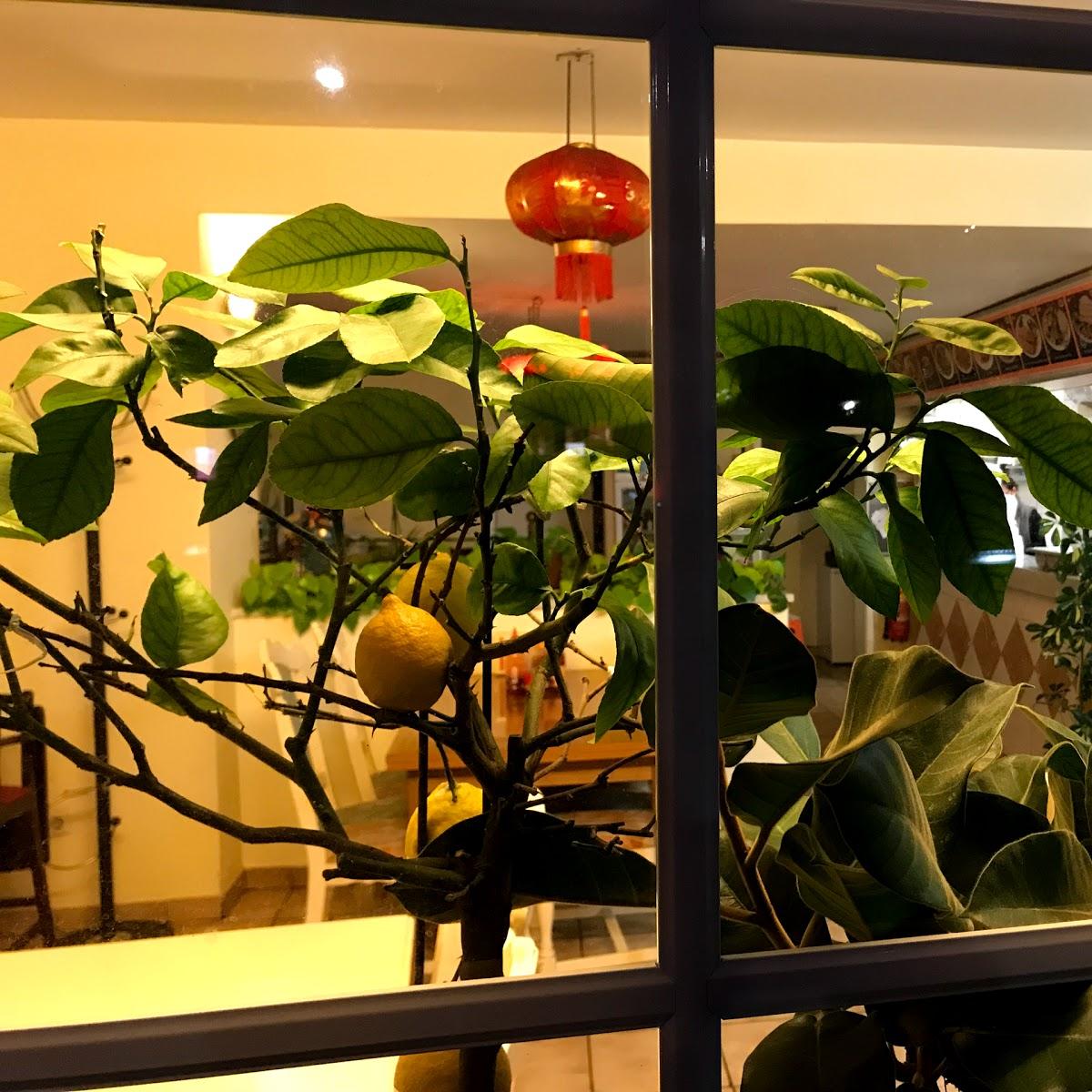 Restaurant "Asia Imbiss Wiebelskirchen ()" in Neunkirchen