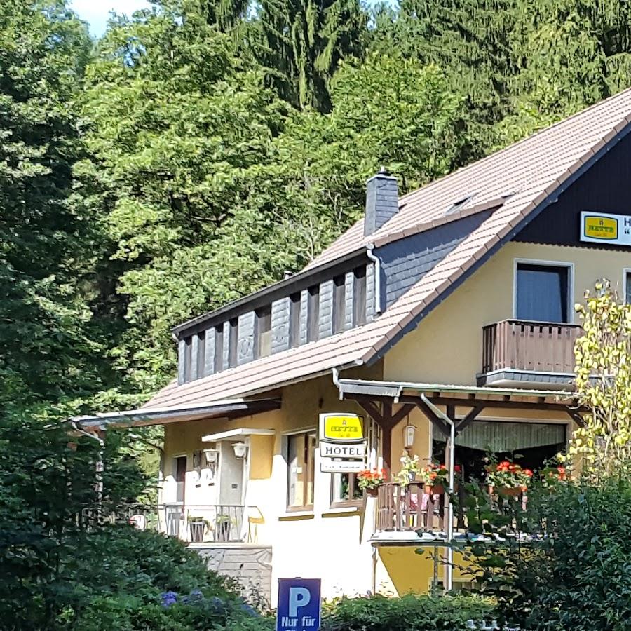 Restaurant "Hotel - Cafe - Restaurant   Zum Schwanenteich  " in  Neuwied