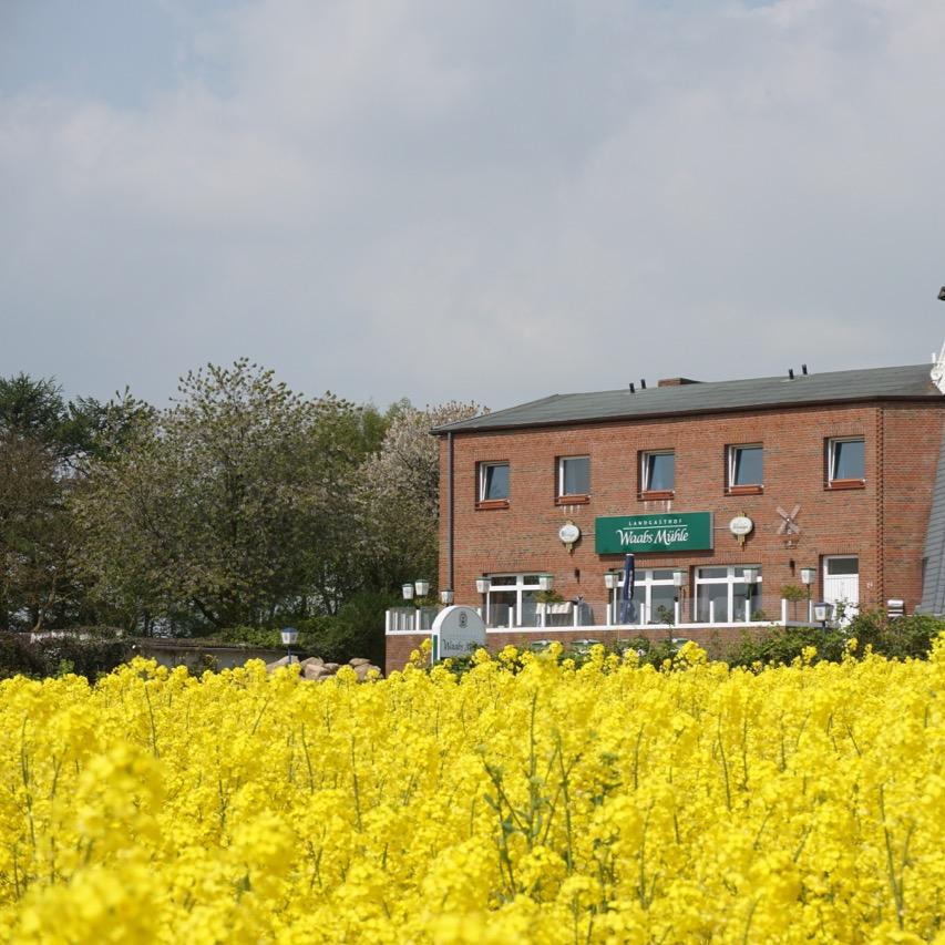 Restaurant "Landgasthof  Mühle" in Waabs
