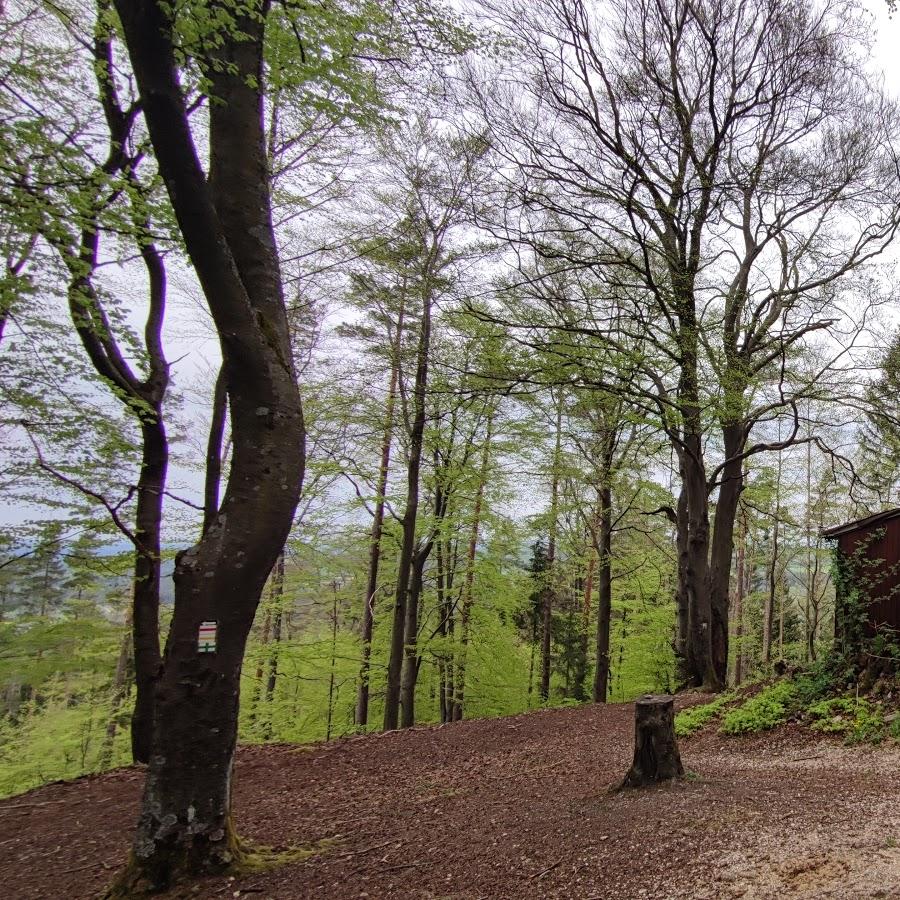 Restaurant "Waldgaststätte Hohe-Zant" in Neukirchen bei Sulzbach-Rosenberg