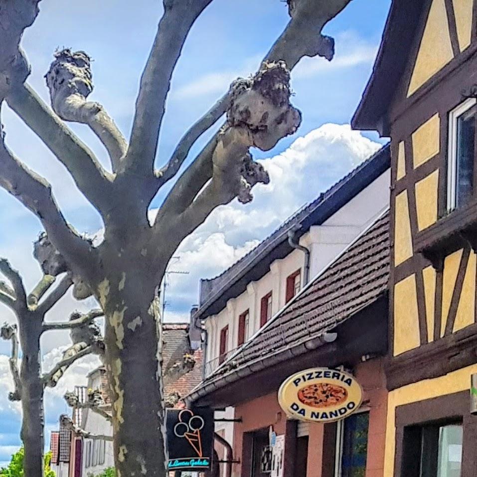 Restaurant "Il Buon Gelato | Die Eisecke" in Mörfelden-Walldorf