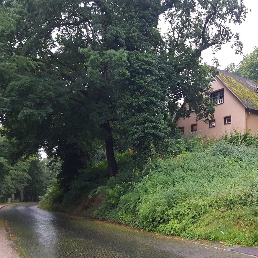 Restaurant "Radeberger Bierstube" in Schwerin