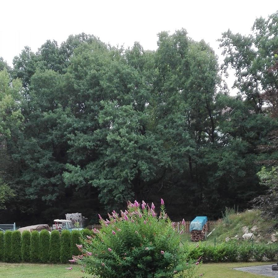 Restaurant "Zur Kupferkaute" in Scheuerfeld