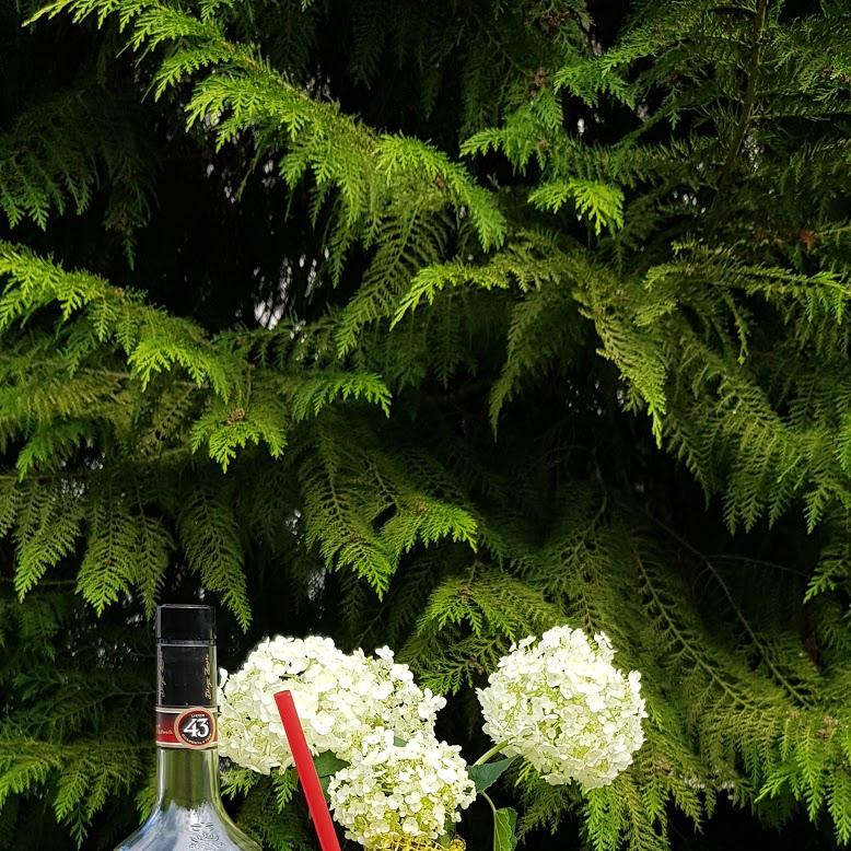 Restaurant "Feierei" in  Trendelburg