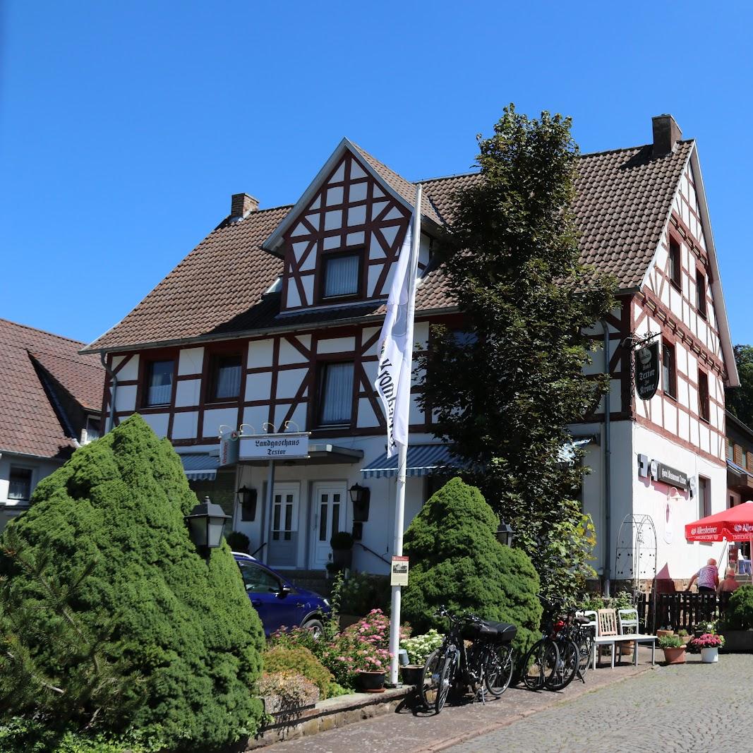 Restaurant "Landgasthaus Textor" in Trendelburg