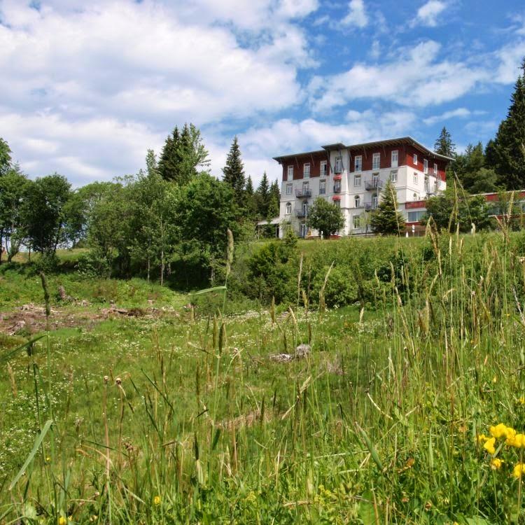 Restaurant "Waldhotel am Notschreipass" in Todtnau