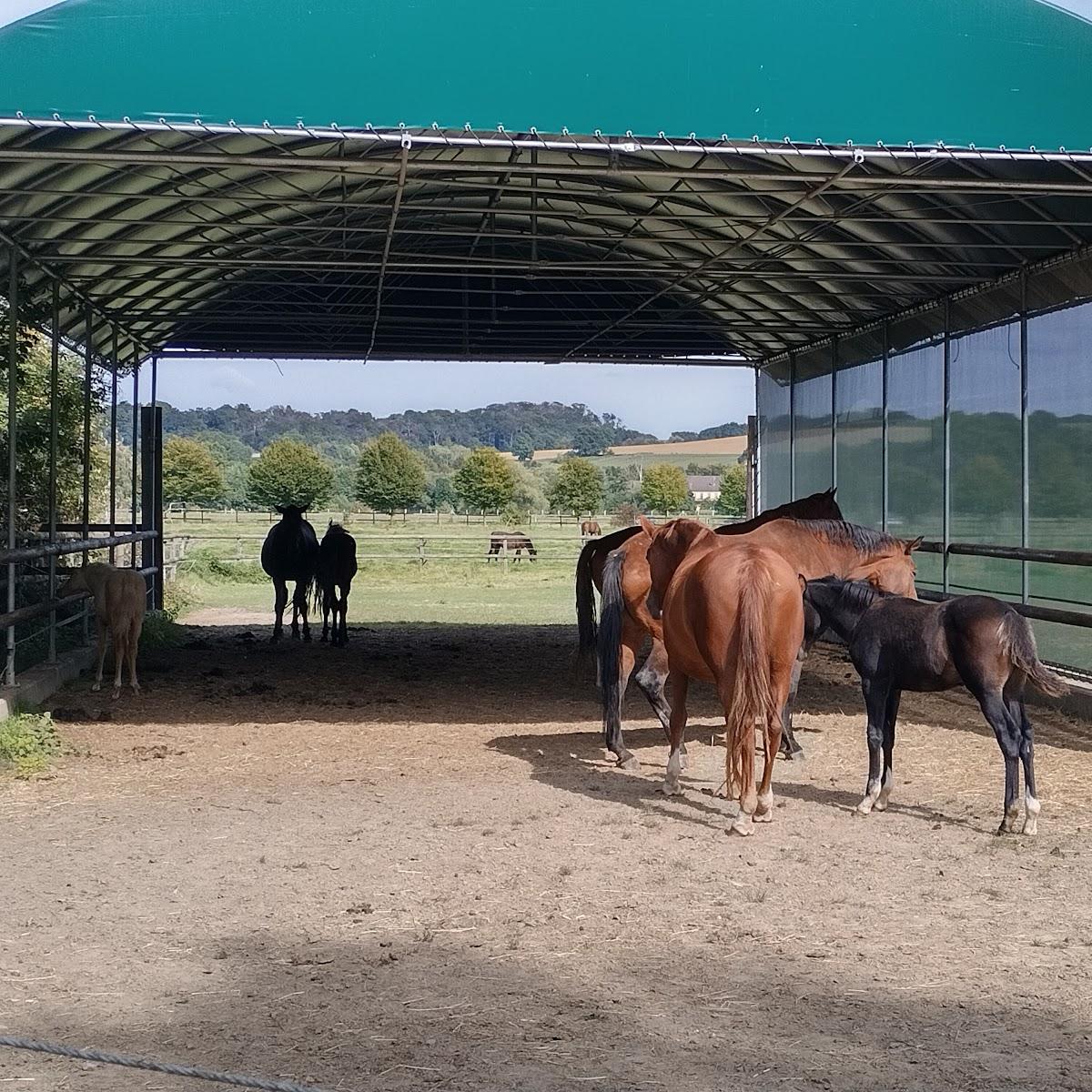 Restaurant "Reiter-Casino" in Mülheim an der Ruhr